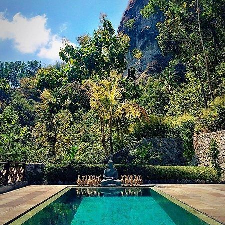 Villa Borobudur Resort Магеланг Екстериор снимка